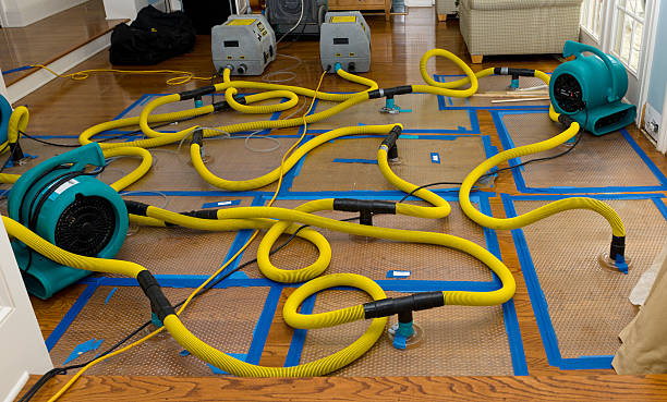 Professional Emergency Water Removal technician working in Canyon, CA